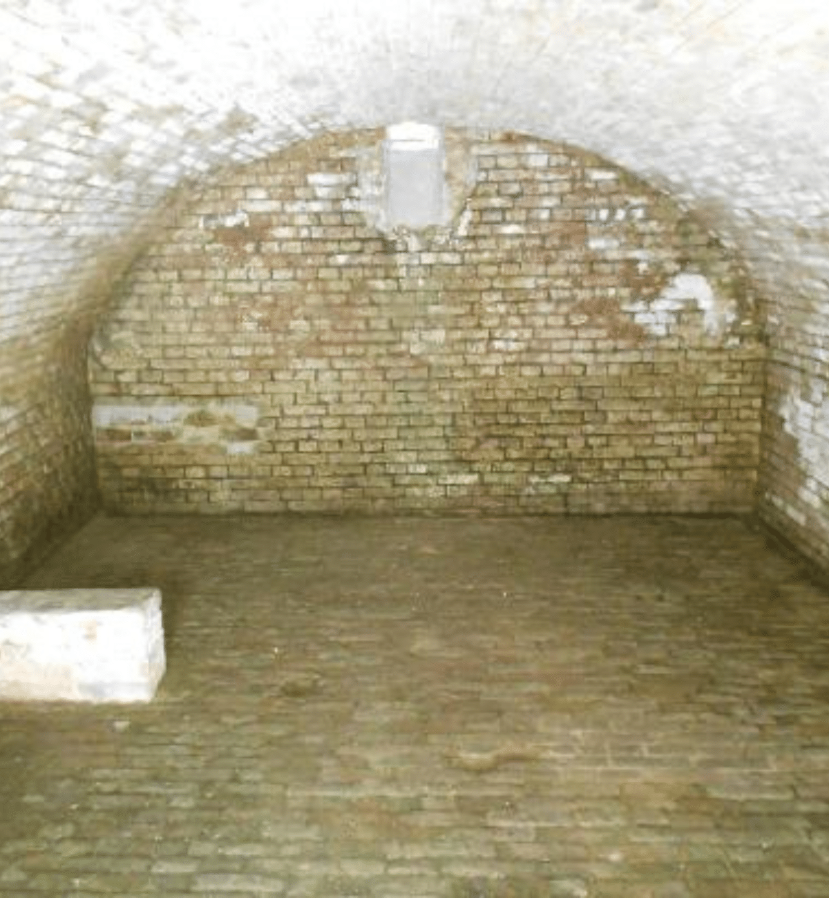 7. Cave de la Maison forestière Wilfred Owen