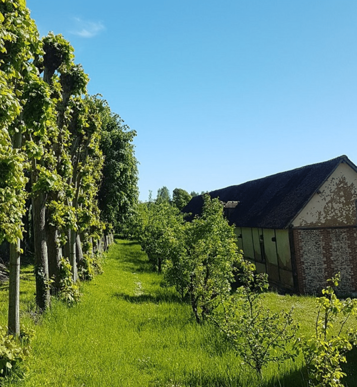 10. Les jardins de l'Abbaye