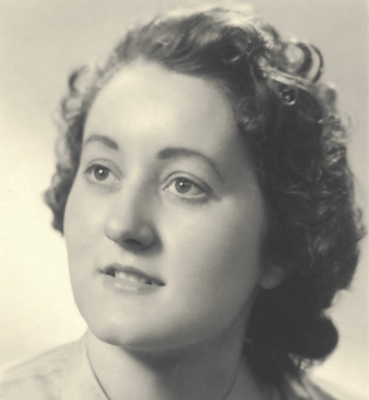 Image hover effect image