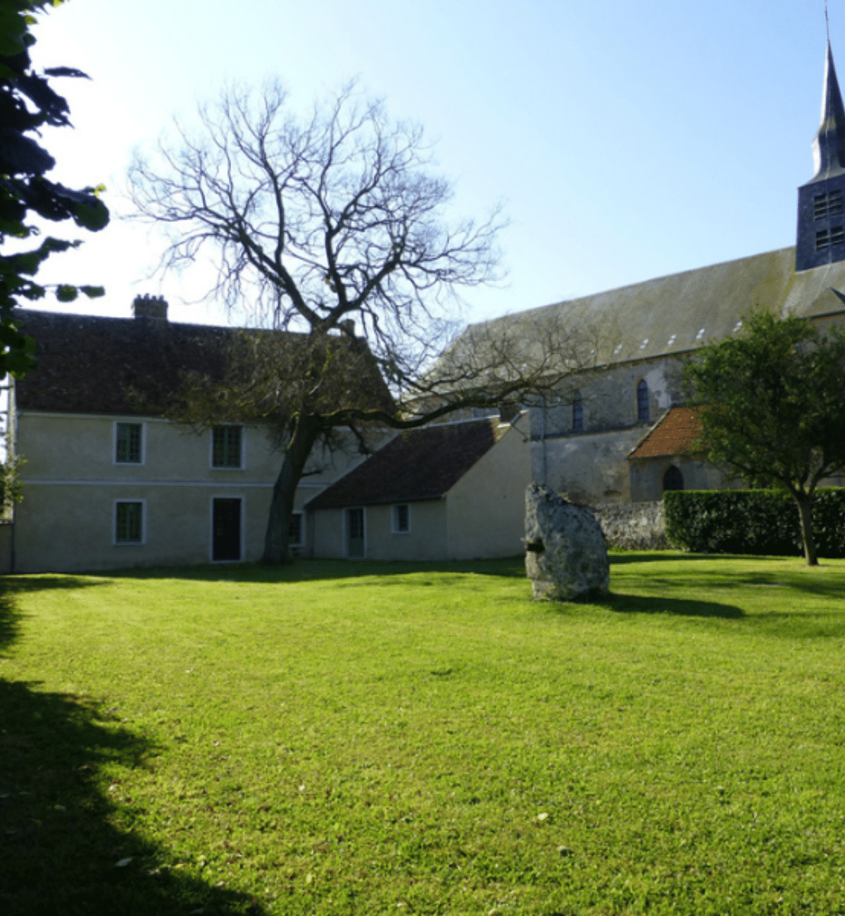 Image hover effect image