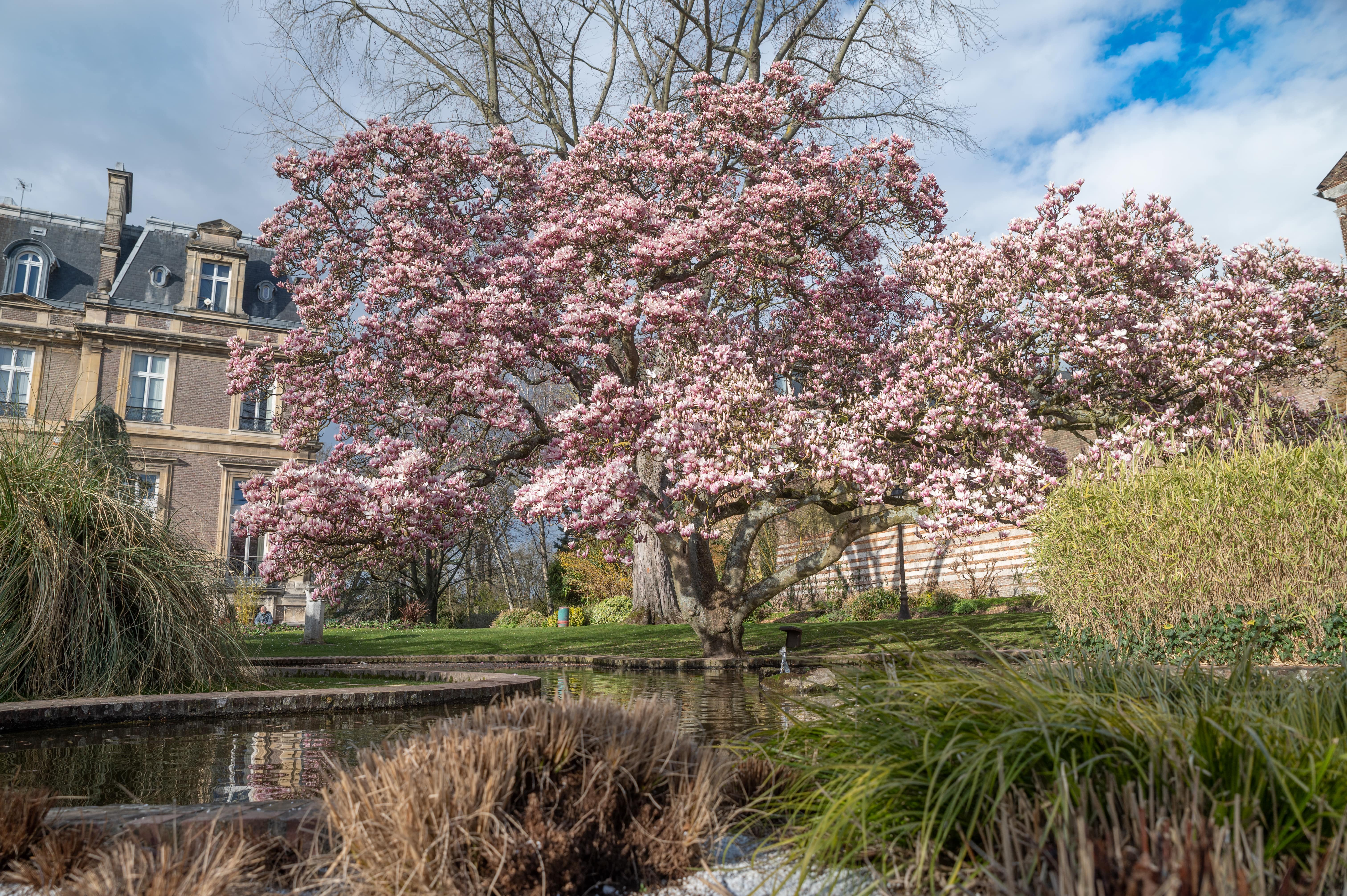 Parc d'Emonville